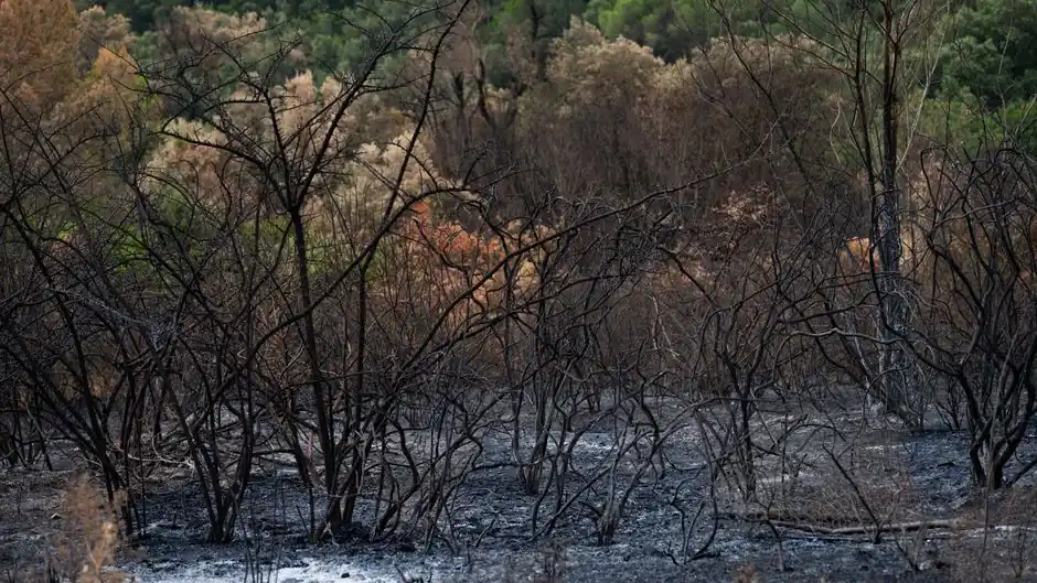 What to check before hiring a fire damage restoration service in La Quinta